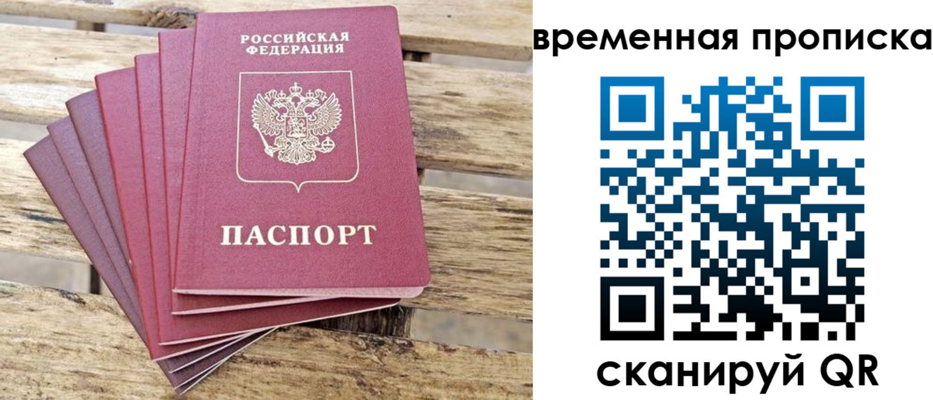 прописка в квартире в Палласовке