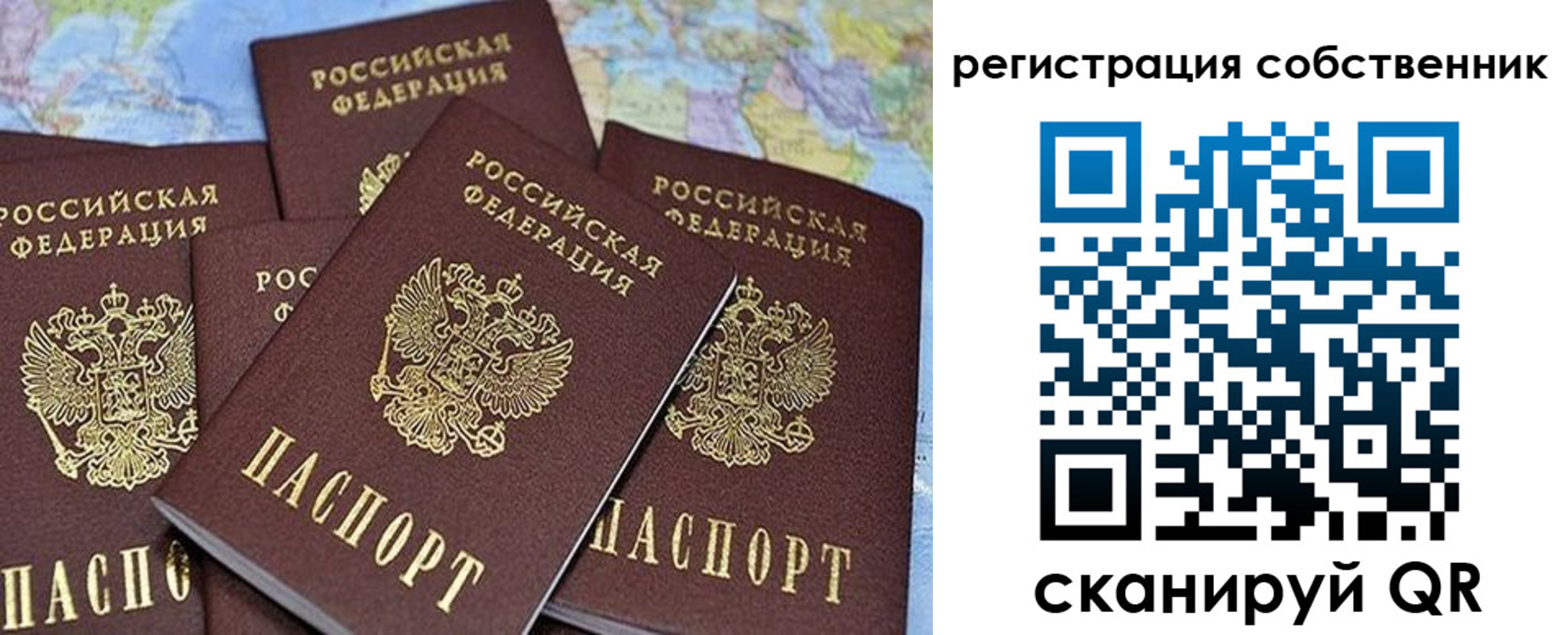прописка для школы в Палласовке